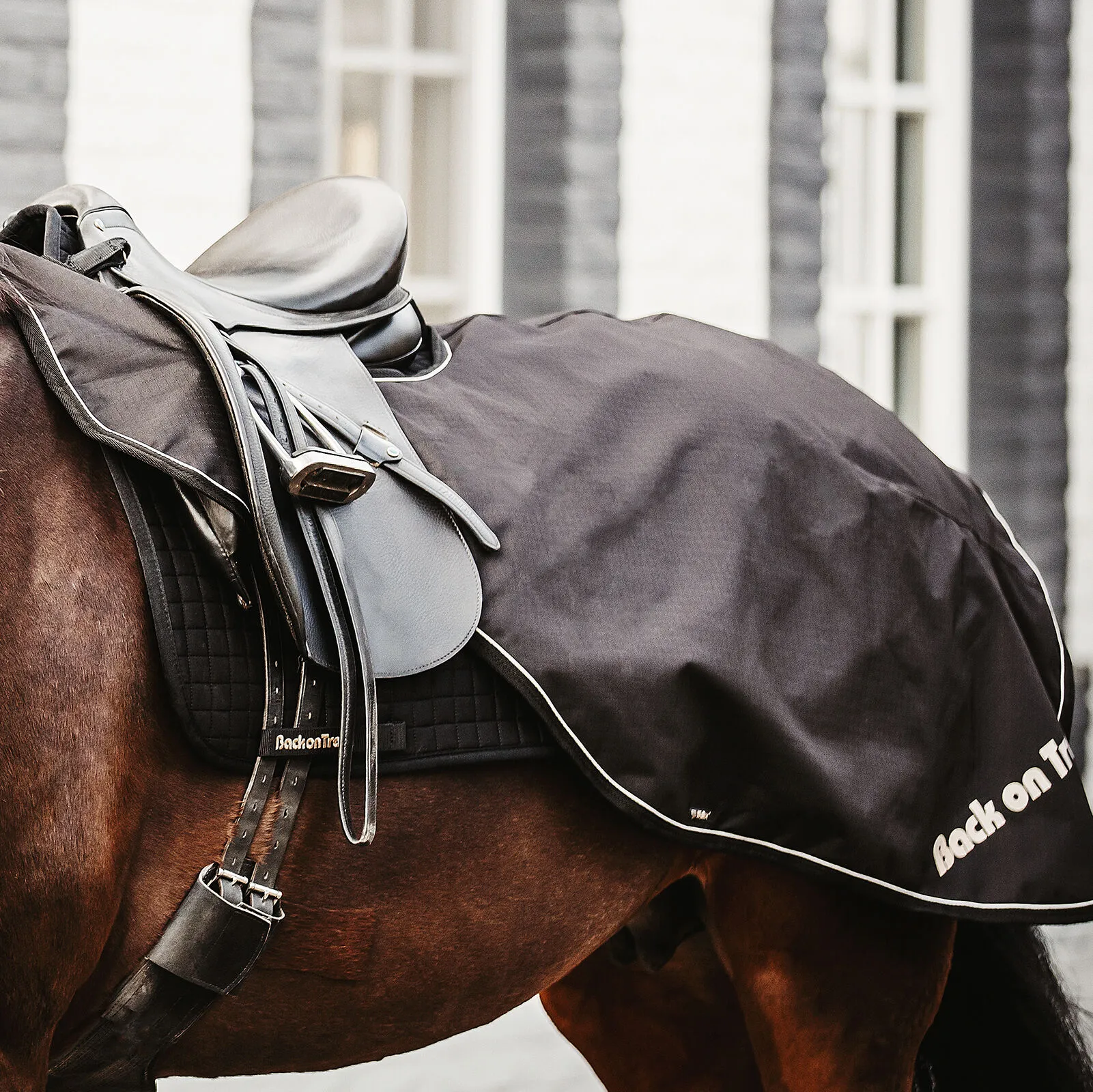 Back on Track Sammy Coperta da equitazione, 50 g