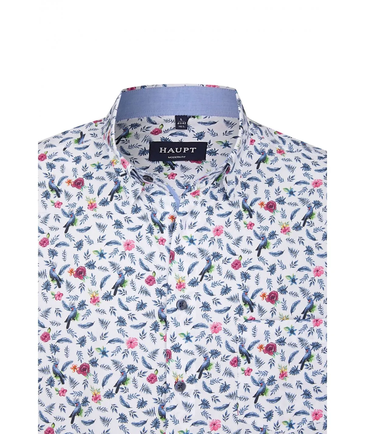 HAUPT FASHION CAMICIA CALIBRATA UOMO TAGLIE FORTI