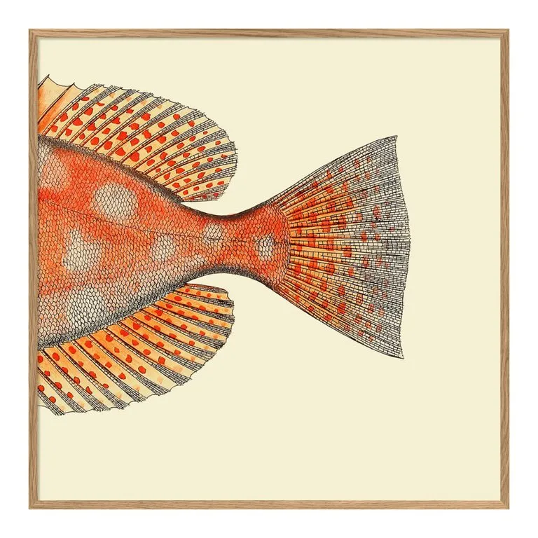 Quadro con cornice BOTANICAL