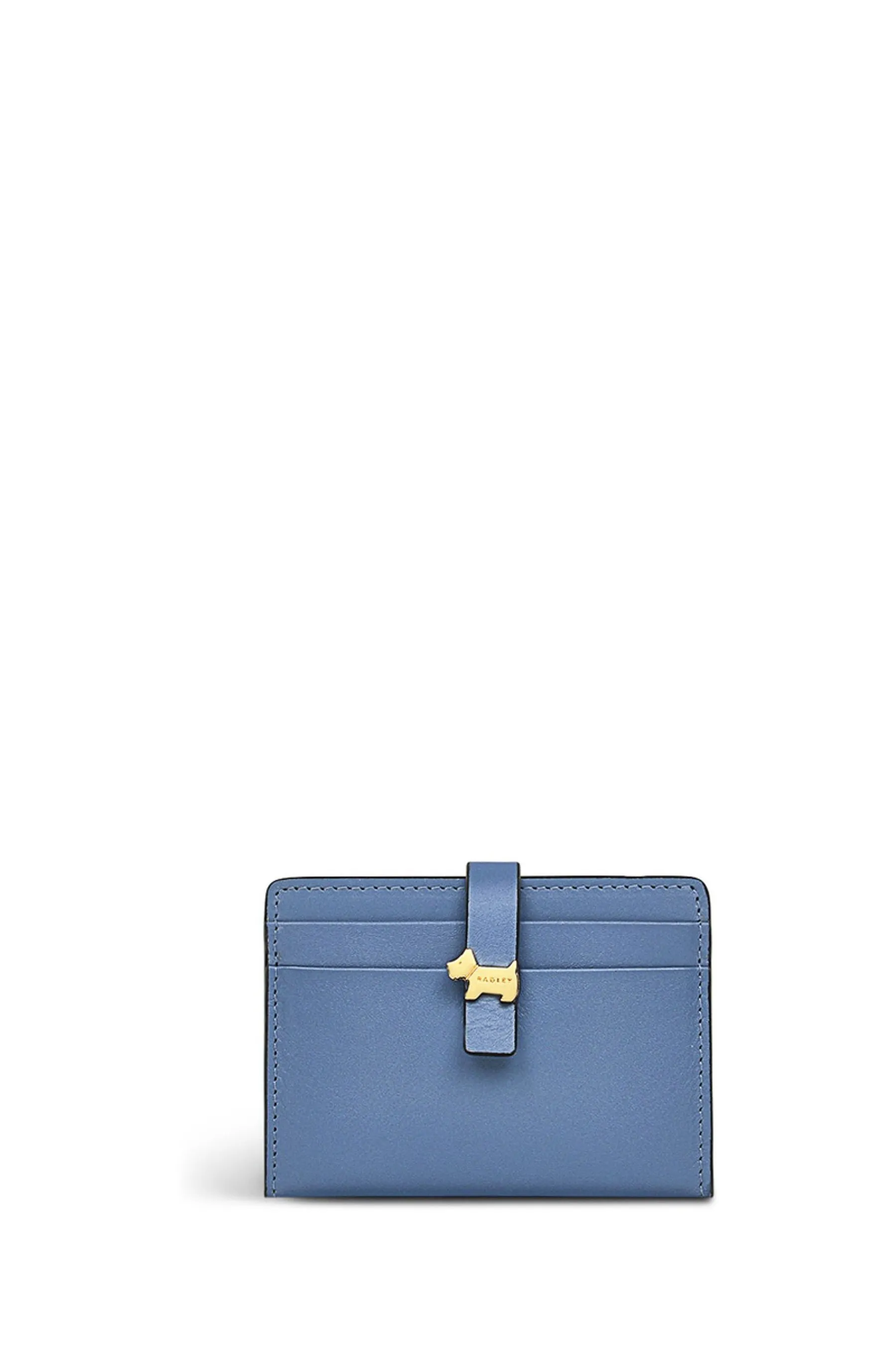 Radley London - Blu - Newick Road - Portacarte piccolo