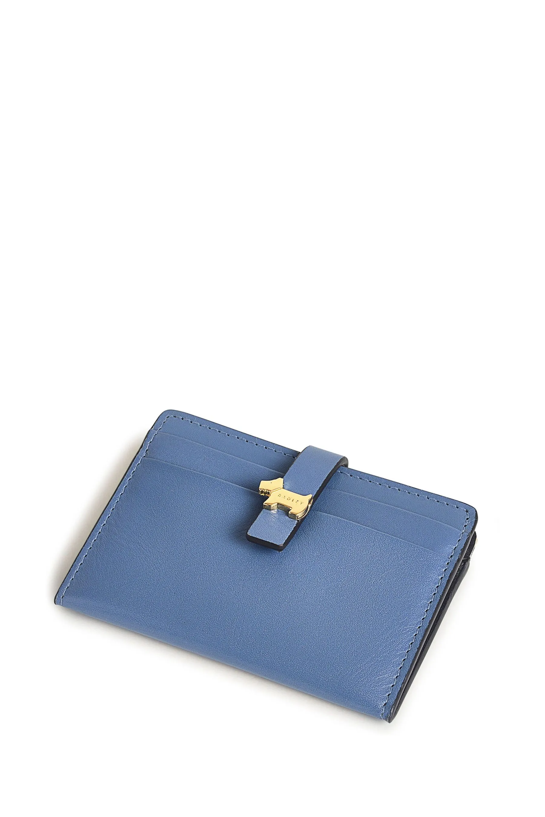 Radley London - Blu - Newick Road - Portacarte piccolo