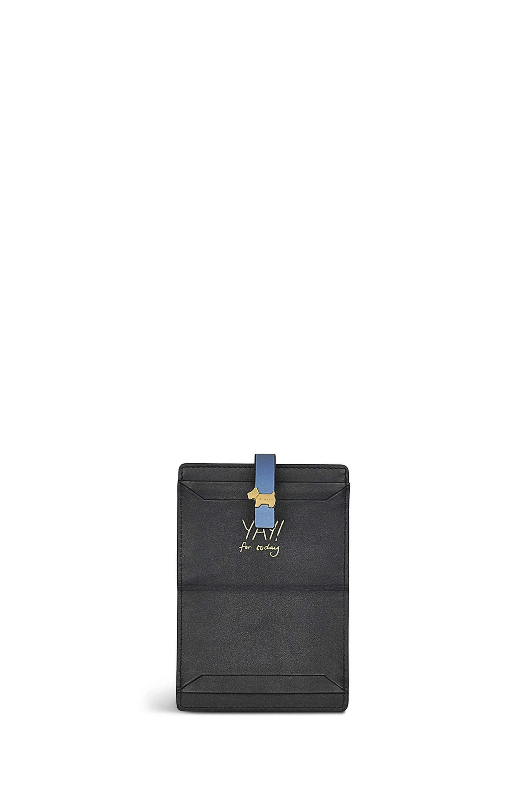 Radley London - Blu - Newick Road - Portacarte piccolo