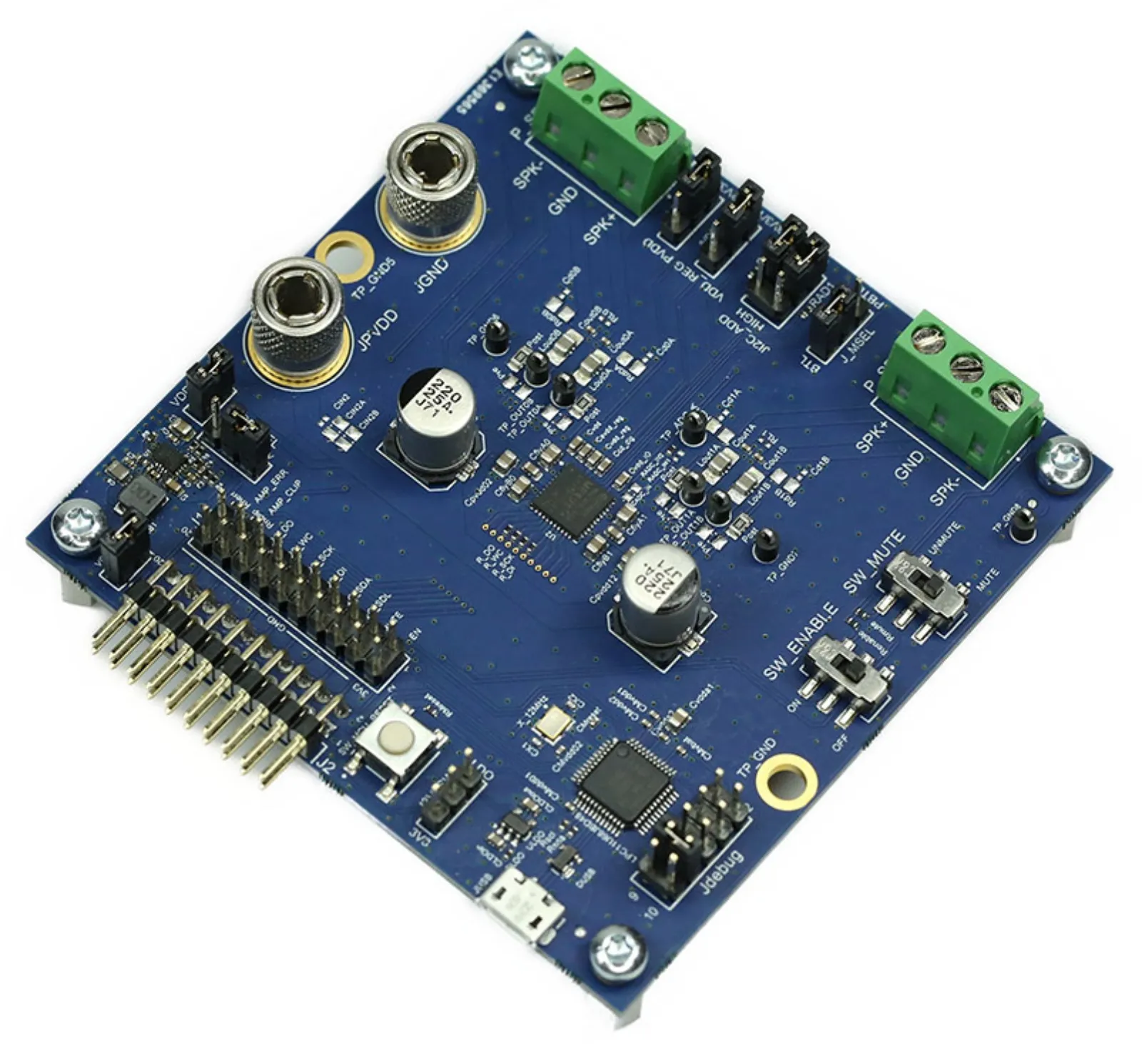 Scheda di valutazione Infineon EVALAUDIOMA2304DNSTOBO1, Amplificatore audio per MA2304DNS